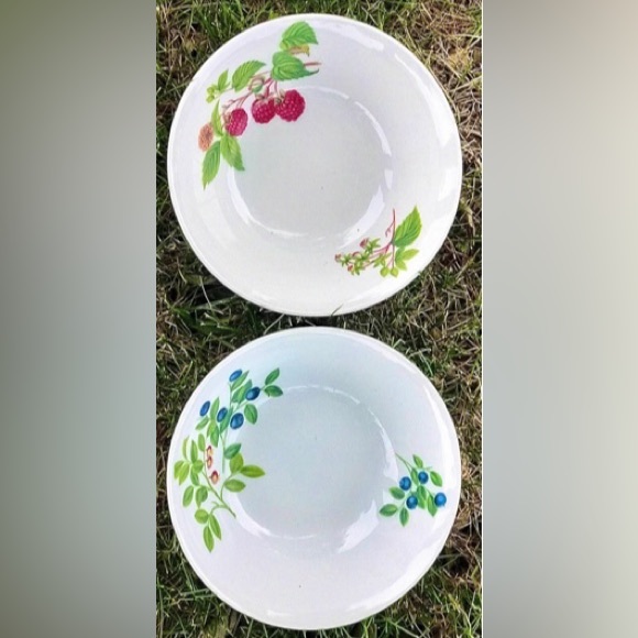 Set of 2 SELTMANN WEIDEN BAVARIA West Germany Qualitats Porzellan Soup Bowls - Picture 2 of 10